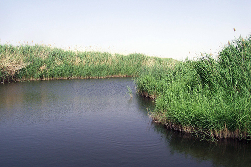Азракский парк водно-болотных угодий